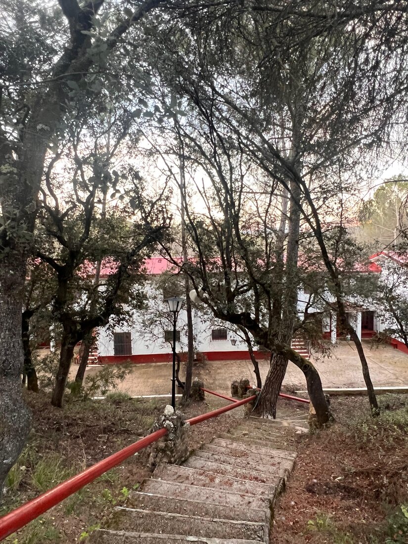 Casa principal de la finca entre árboles, con camino de acceso