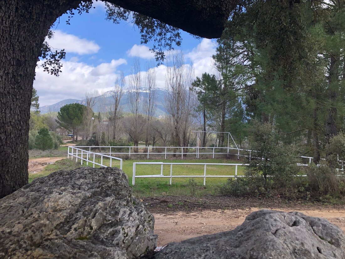 Prado con árboles en la finca